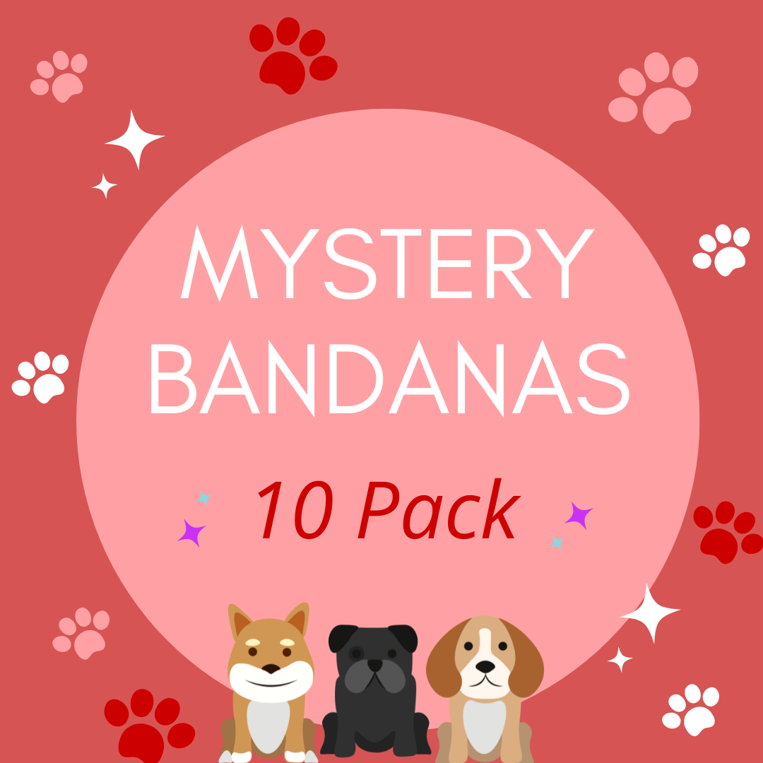 MYSTERY BANDANAS - 10 PACK