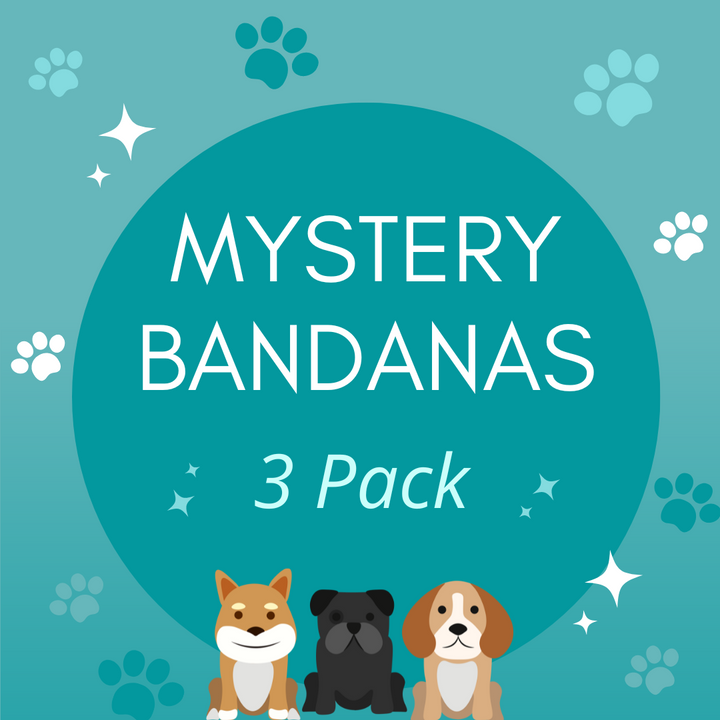 MYSTERY BANDANAS - 3 PACK