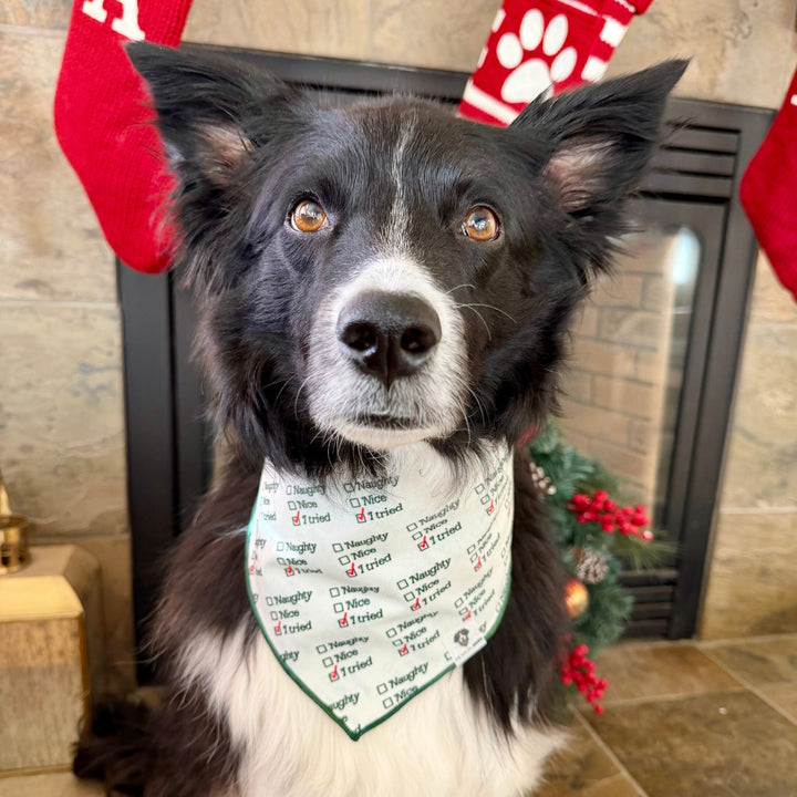 Naughty, Nice, I Tried Holiday Tie-On Dog Bandana
