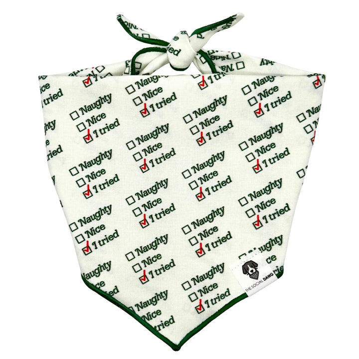 Naughty, Nice, I Tried Holiday Tie-On Dog Bandana