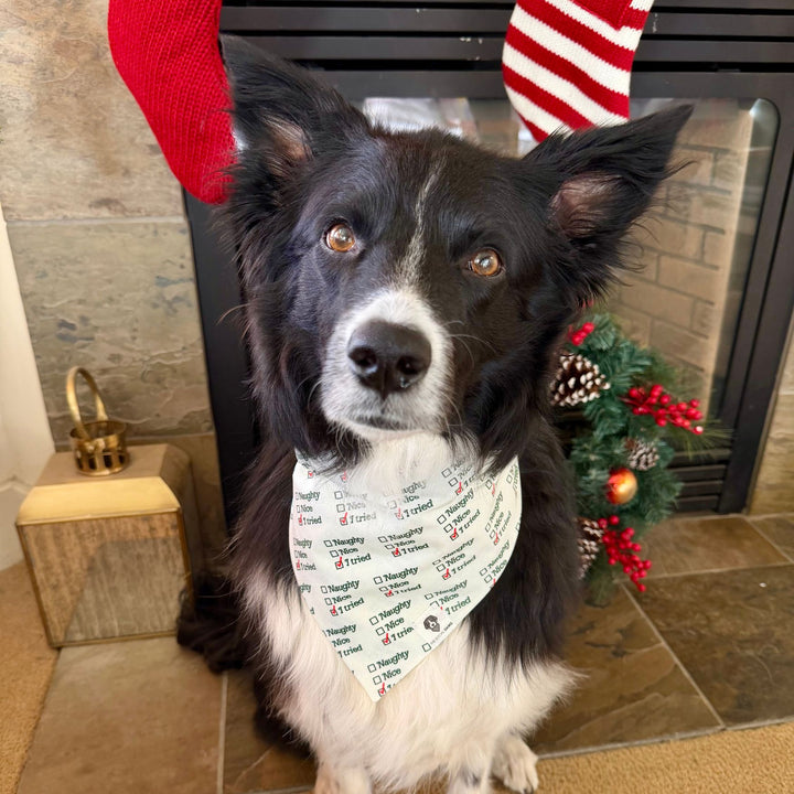Naughty, Nice, I Tried Holiday Slip-On Dog Bandana