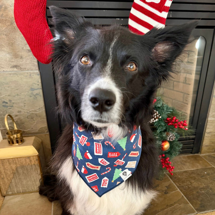 North Pole Holiday Tie-On Dog Bandana