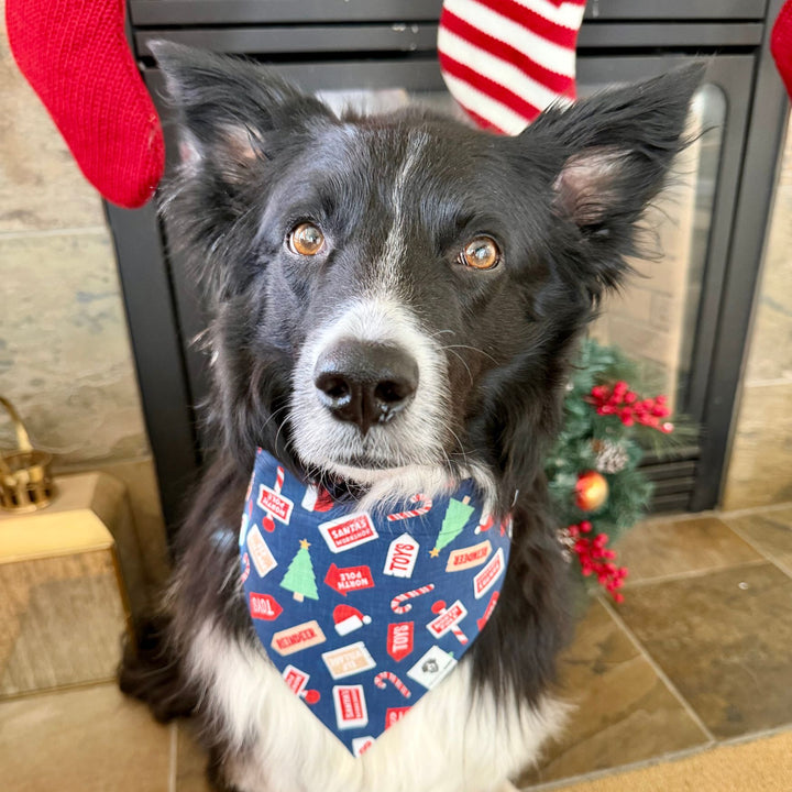 North Pole Holiday Slip-On Dog Bandana