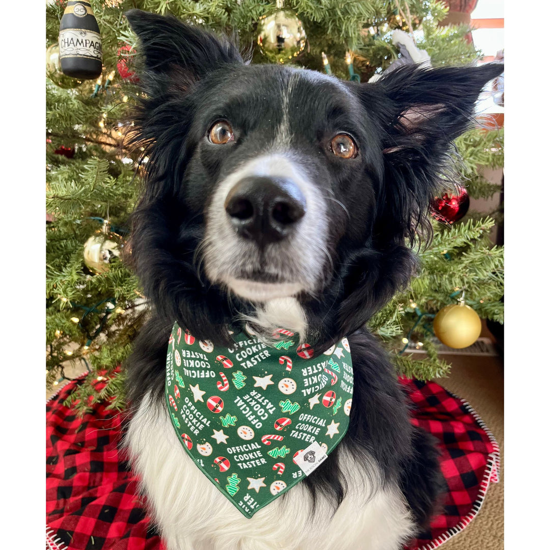 Official Cookie Taster Tie-On Dog Bandana