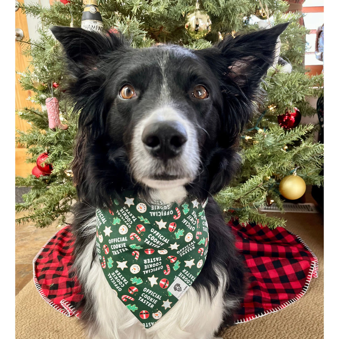 Official Cookie Taster Slip-On Dog Bandana