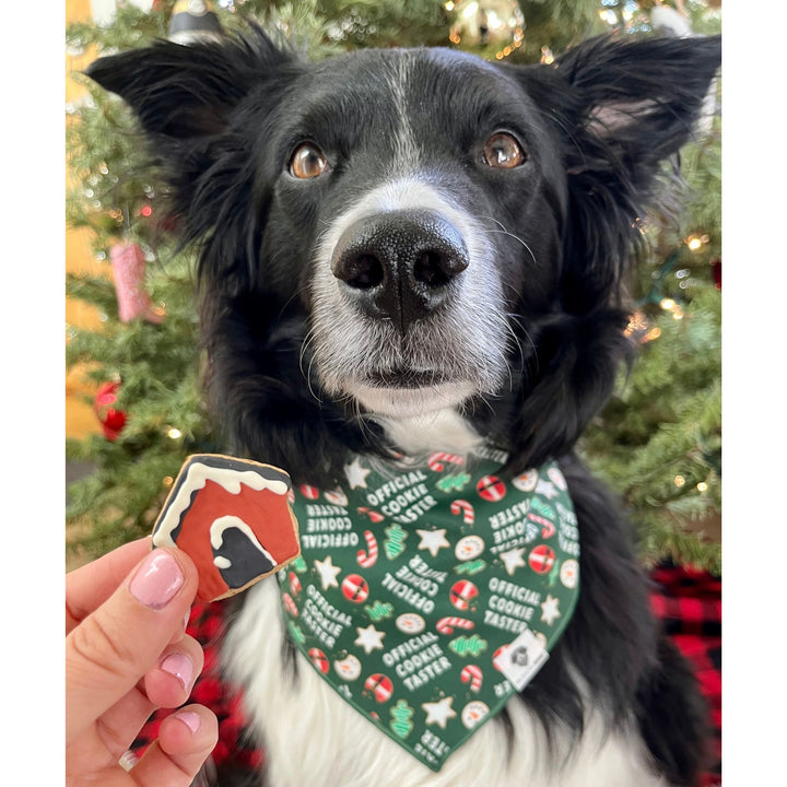 Official Cookie Taster Tie-On Dog Bandana