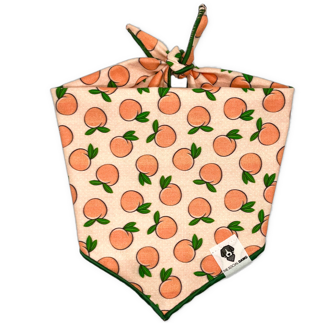 Peaches Tie-On Dog Bandana