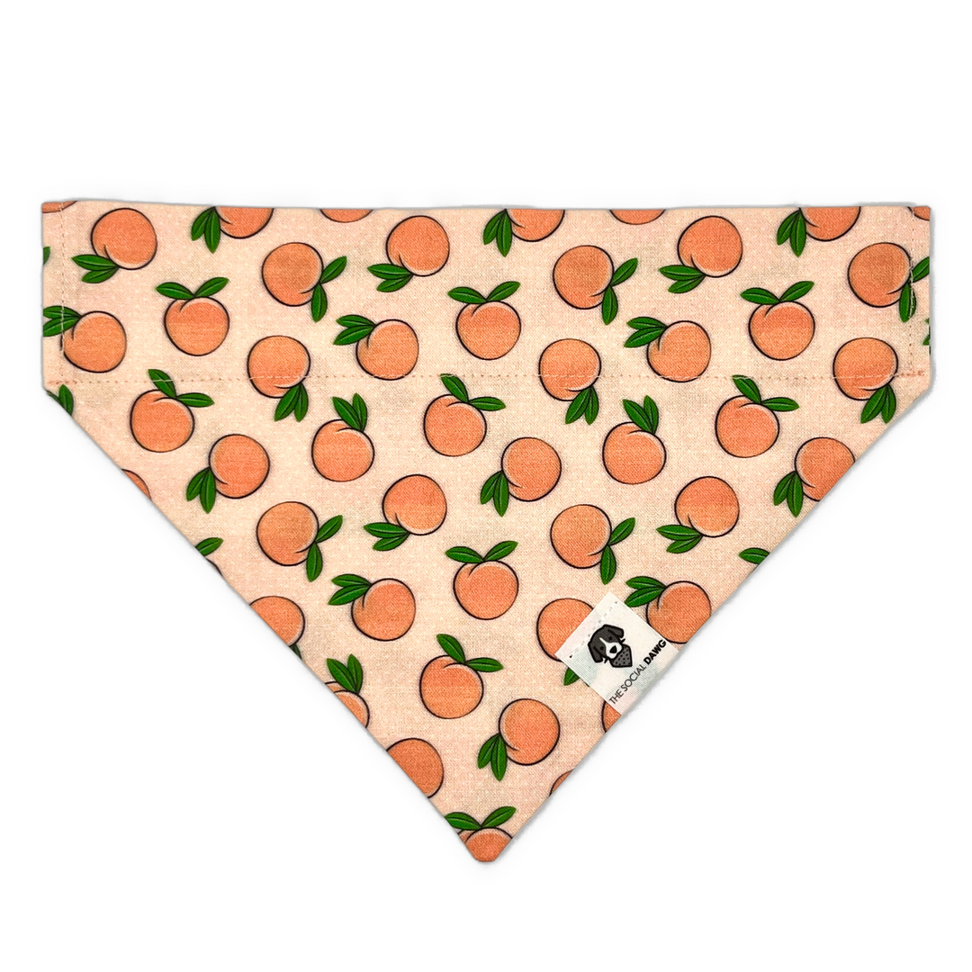 Peaches Slip-On Dog Bandana