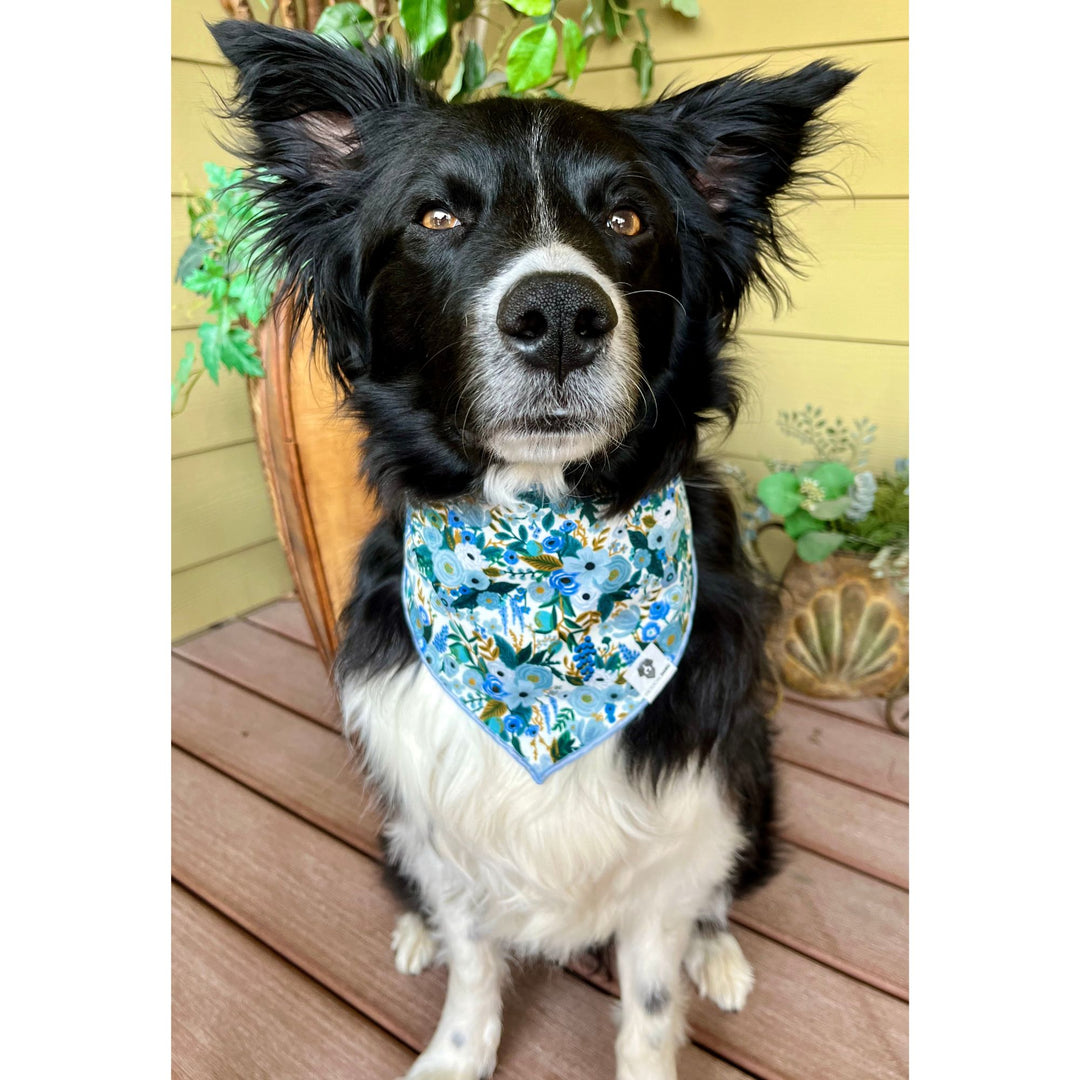 Petite Garden Party Blue Tie-On Dog Bandana