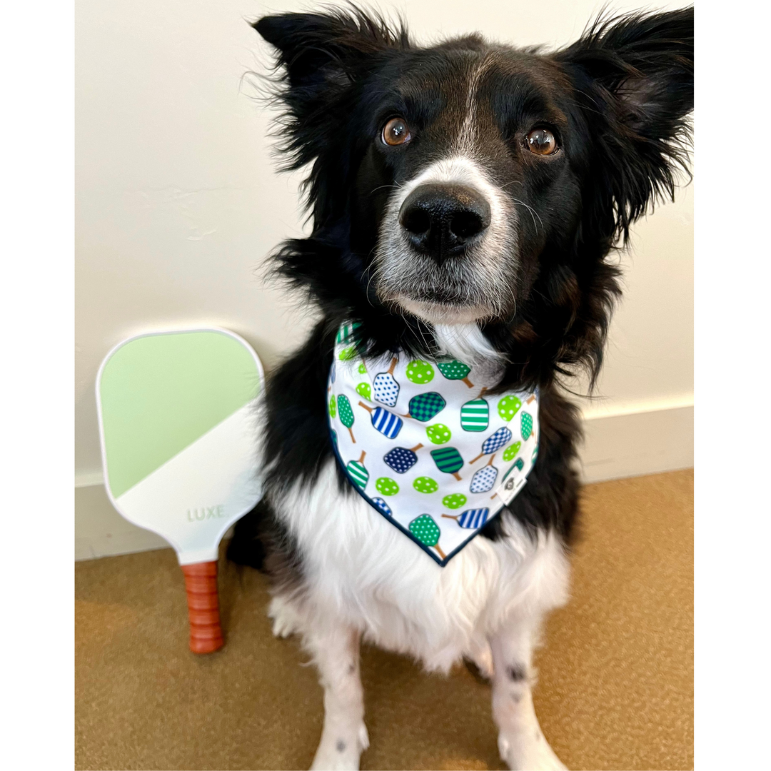 Pickleball Tie-On Dog Bandana