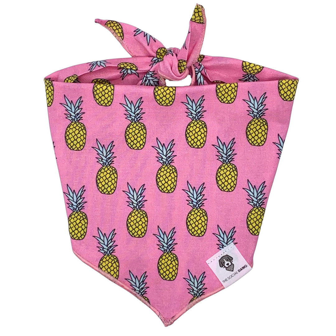 Pineapple Tie-On Dog Bandana