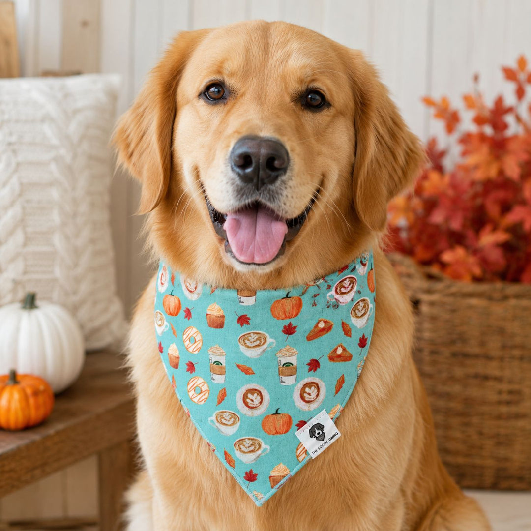 Pumpkin Spice Latte Tie-On Dog Bandana