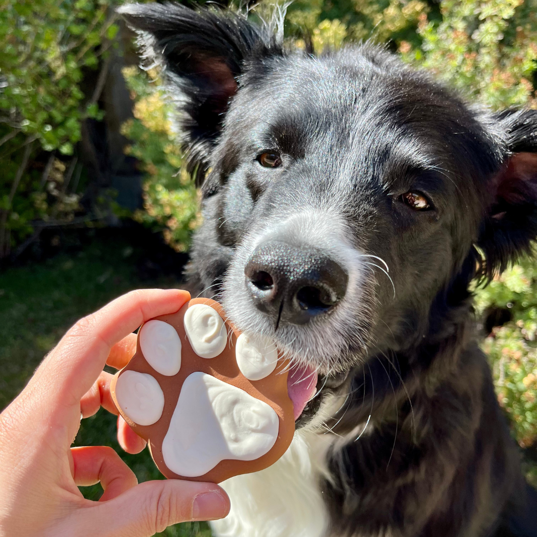 PREORDER - Pupkin Latte Dog Treats - 2 Pack