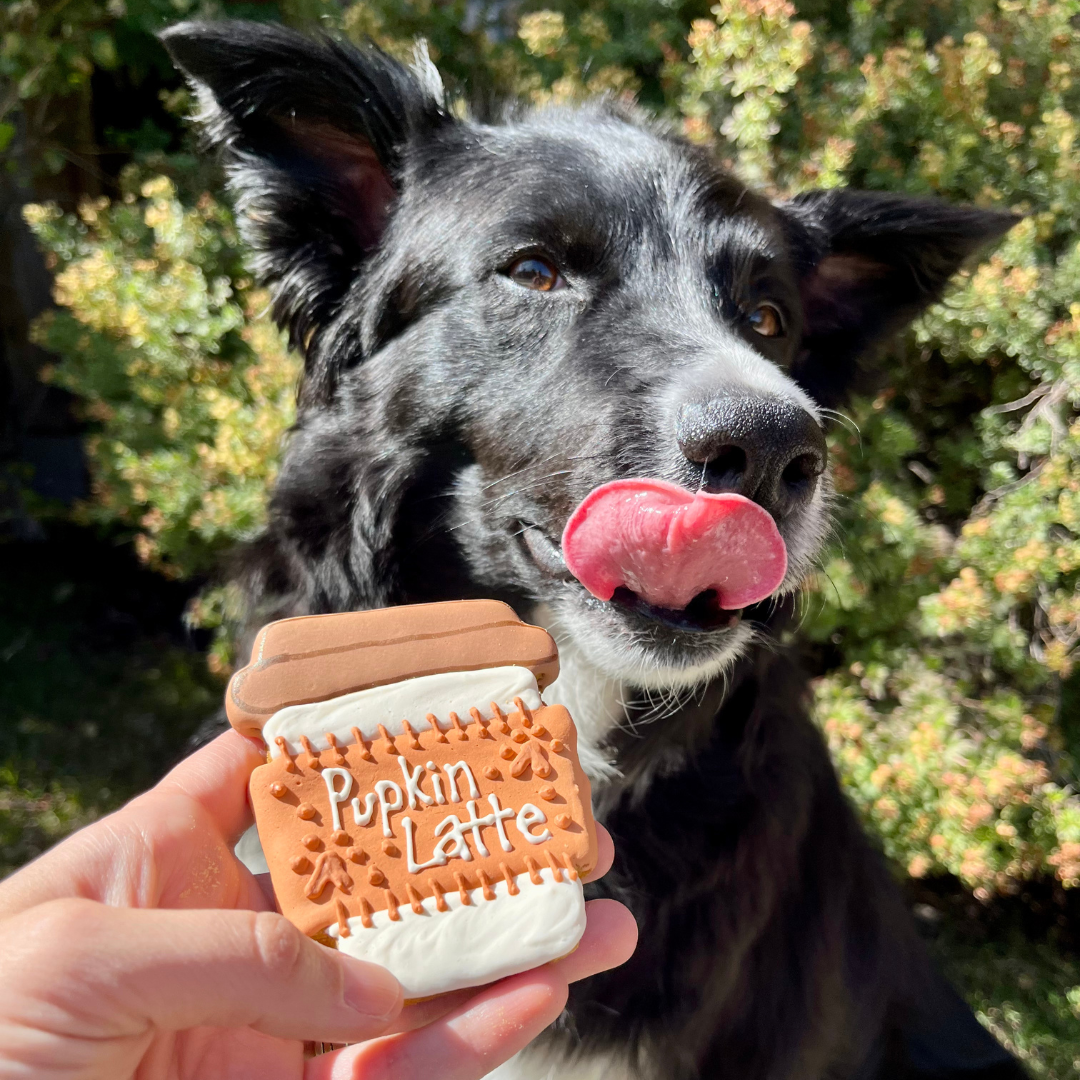 PREORDER - Pupkin Latte Dog Treats - 2 Pack