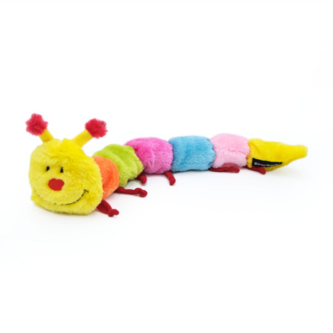 Rainbow Caterpillar Dog Toy