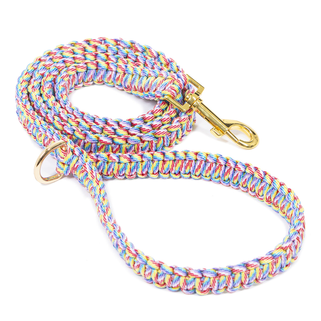 Rainbow Nylon Rope Dog Leash
