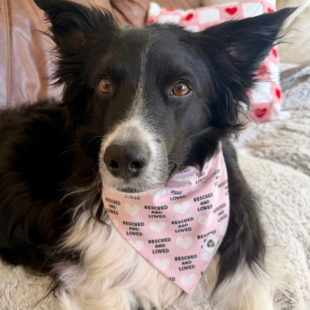 Rescued & Loved Pink Slip-On Dog Bandana