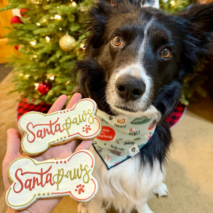 Santa Paws Holiday Dog Treats - 2 Pack
