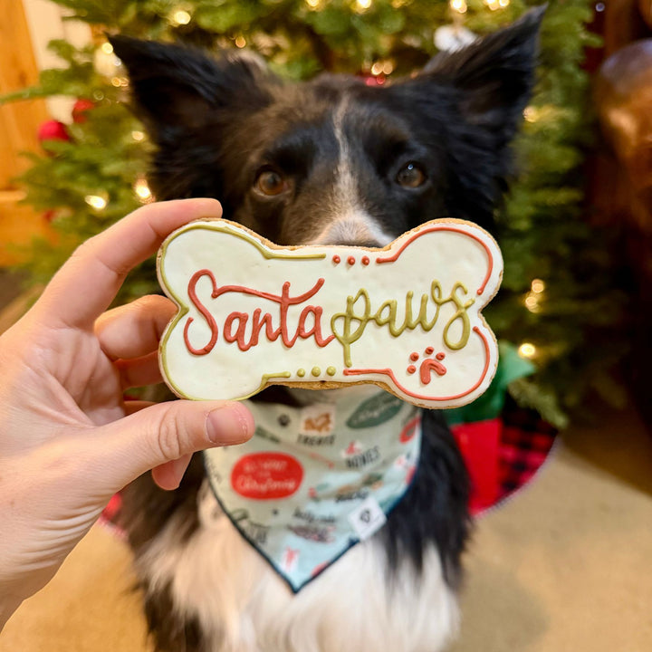 Santa Paws Holiday Dog Treats - 2 Pack