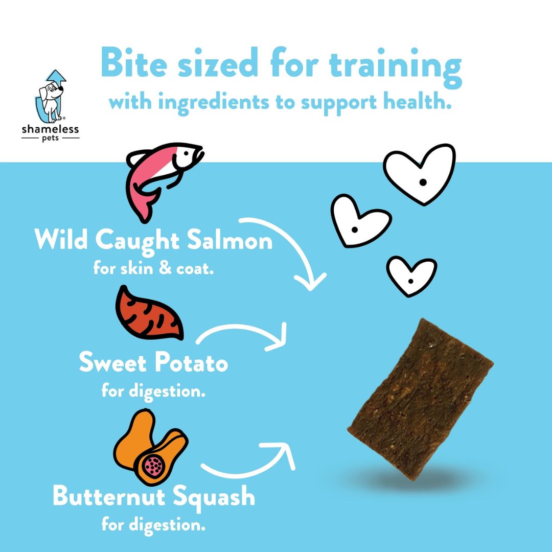 Salmon Loves Butternut Jerky Dog Treats