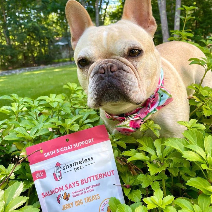 Salmon Loves Butternut Jerky Dog Treats