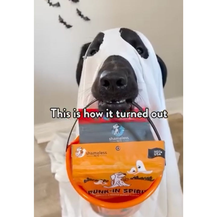 Halloween: Punk-In Spirit Soft-Baked Dog Treats