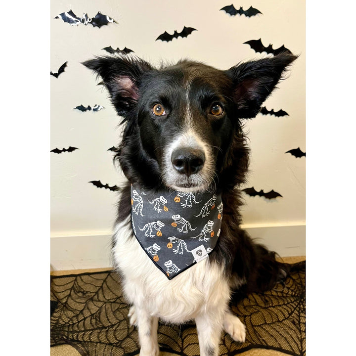 Skeleton Trex Halloween Tie-On Dog Bandana
