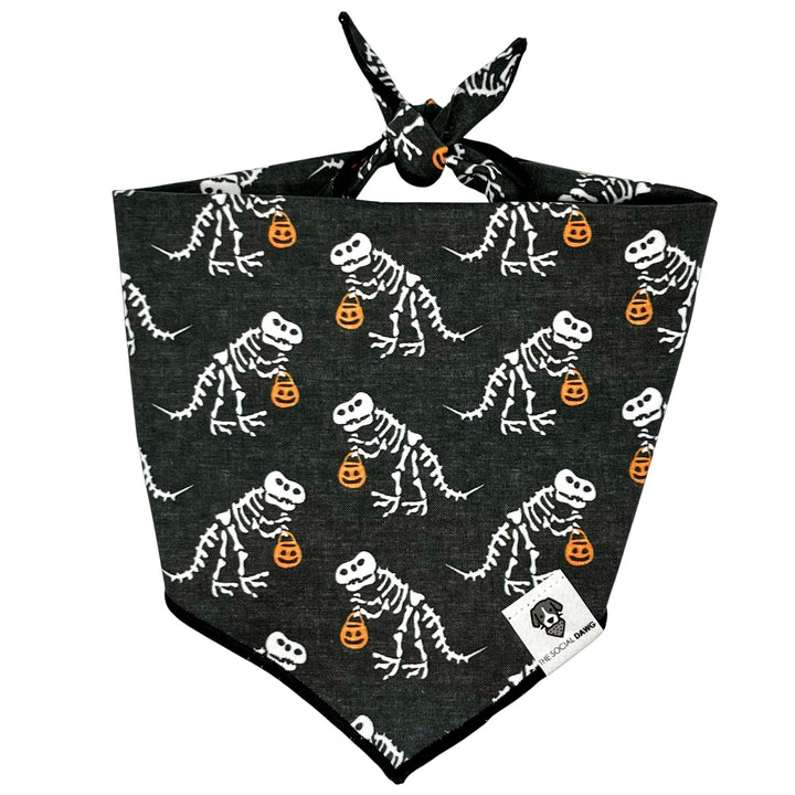 Skeleton Trex Halloween Tie-On Dog Bandana