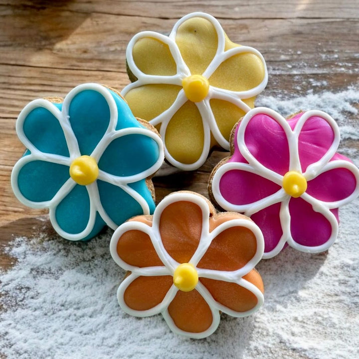 Spring Flowers Dog Treat Box - 6 count