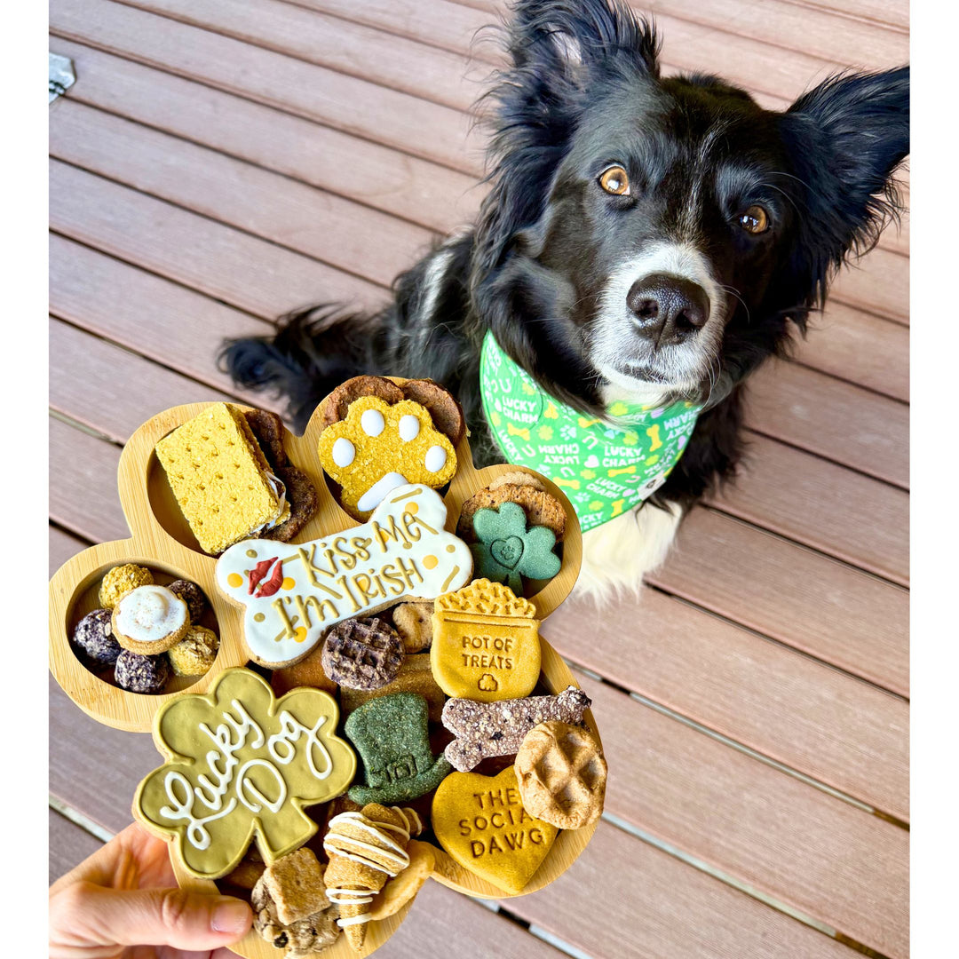 St Patrick's Day Paw Shaped Dog Barkuterie Board