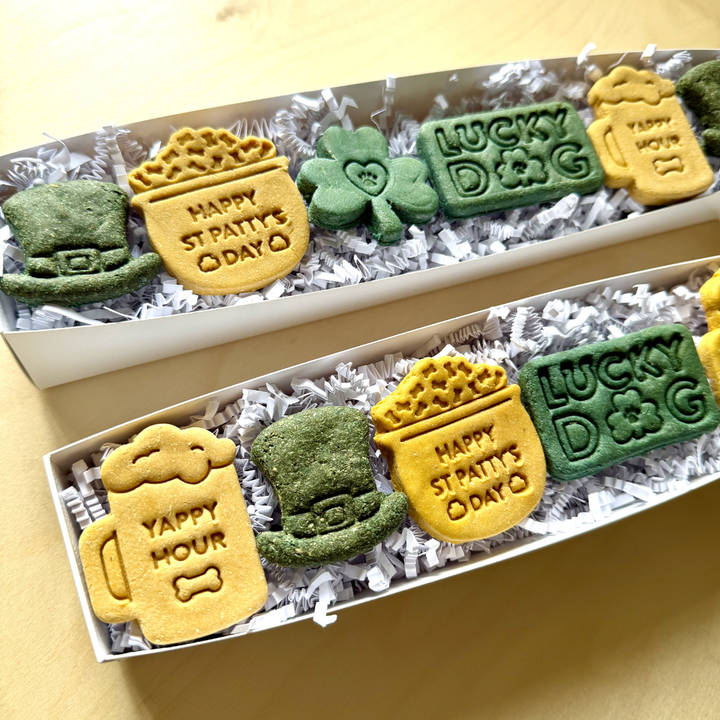 St. Patrick's Day Dog Treat Box - 6 count
