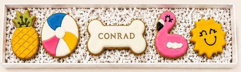 Custom Conrad 5 Treat Box - Summer Treats