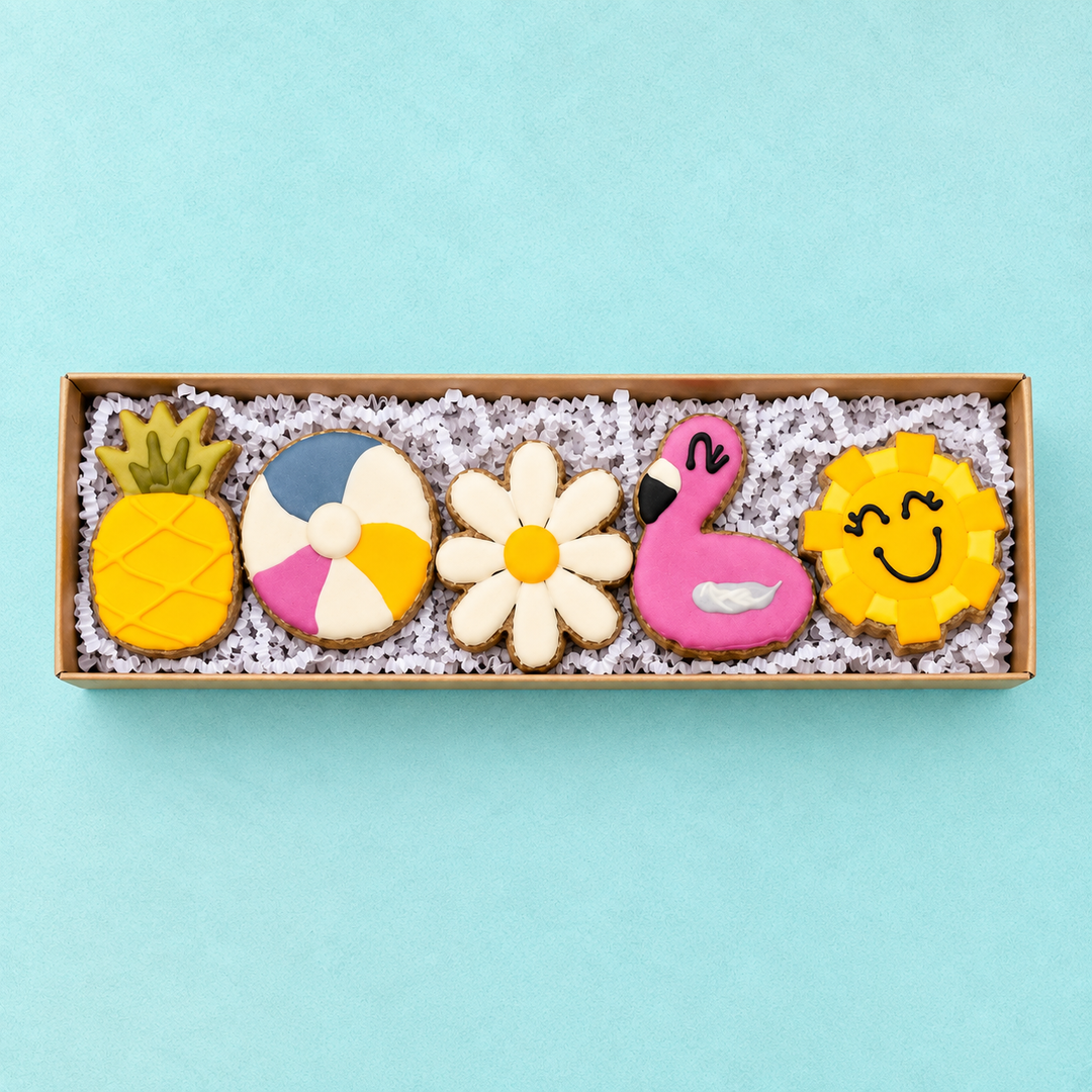 Hello Summer Dog Treat Box - 5 count