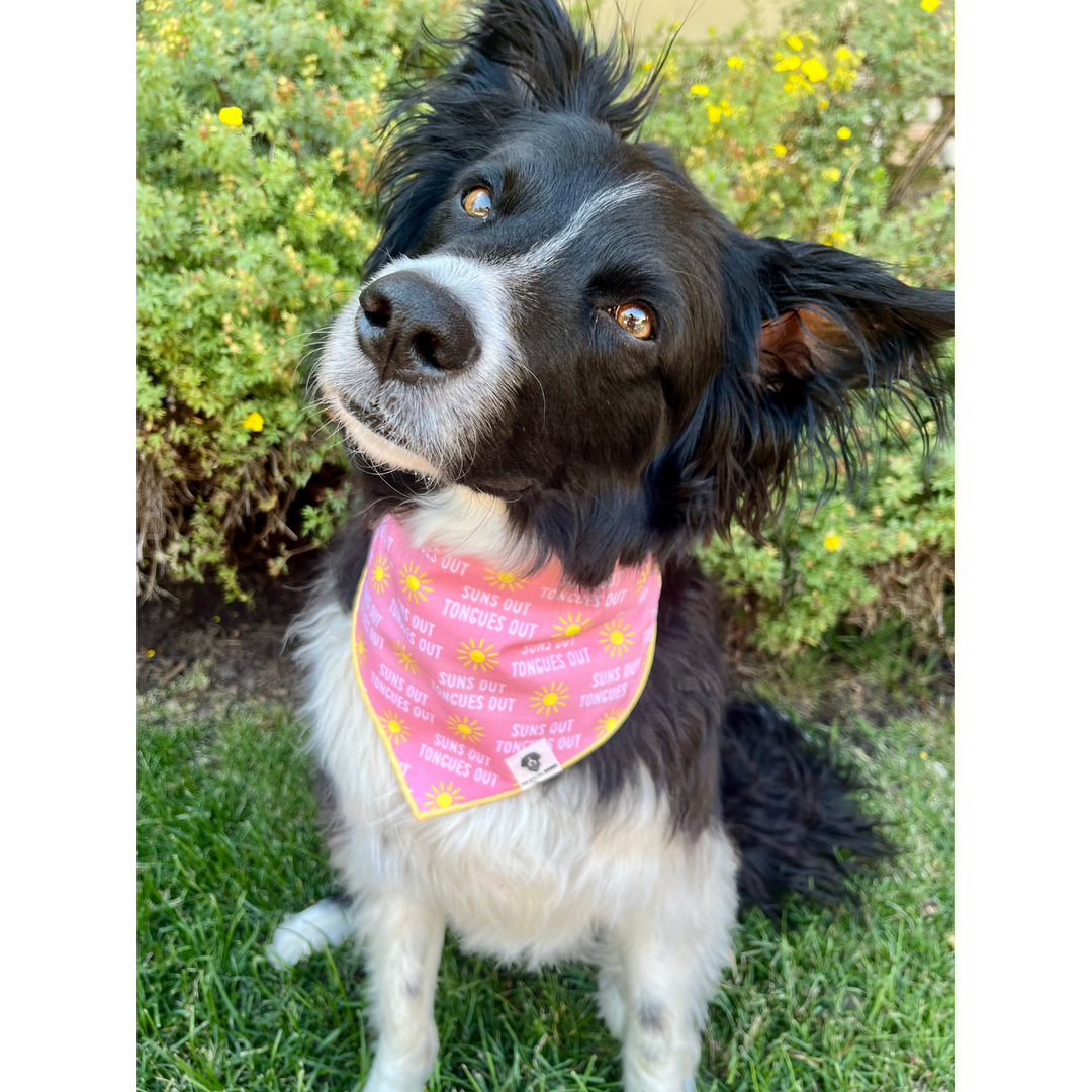 Suns Out Tongues Out Tie-On Dog Bandana - Pink