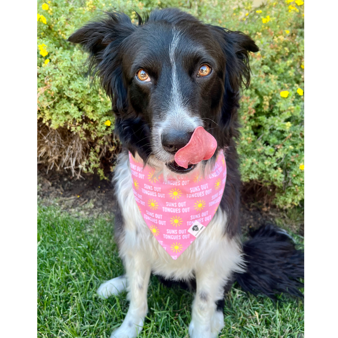 Suns Out Tongues Out Slip-On Dog Bandana - Pink