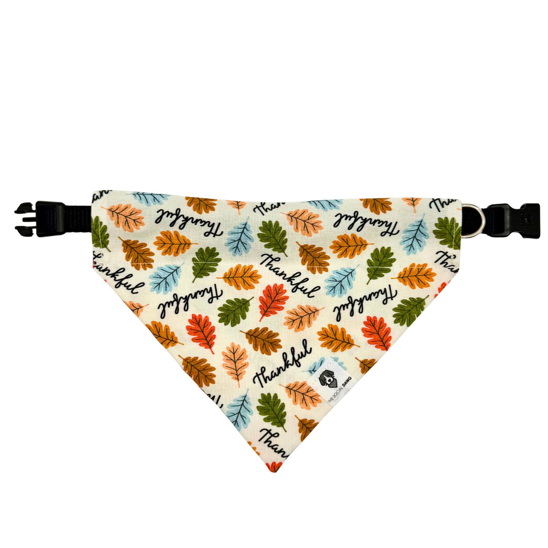 Thankful Slip-On Dog Bandana