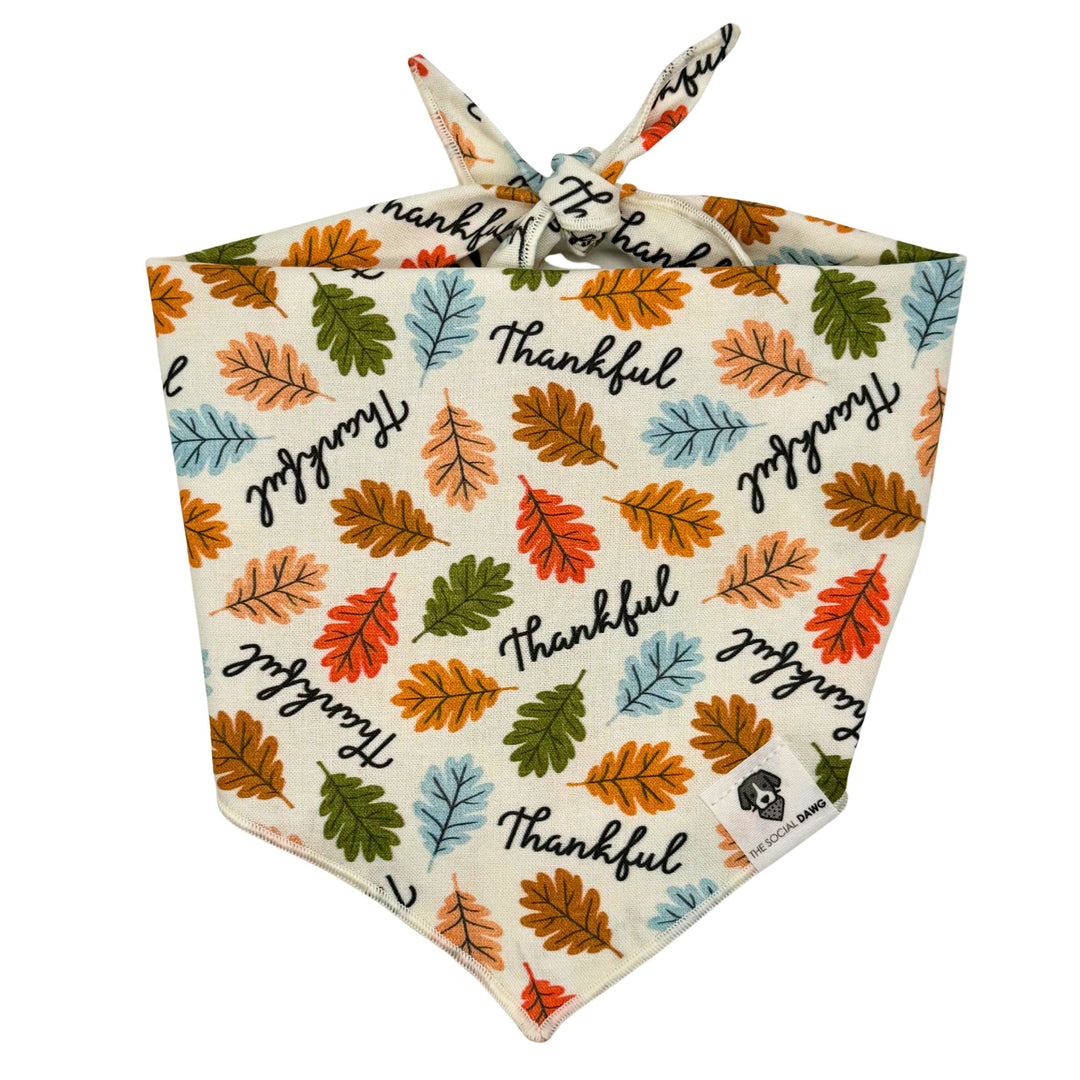 Thankful Tie-On Dog Bandana