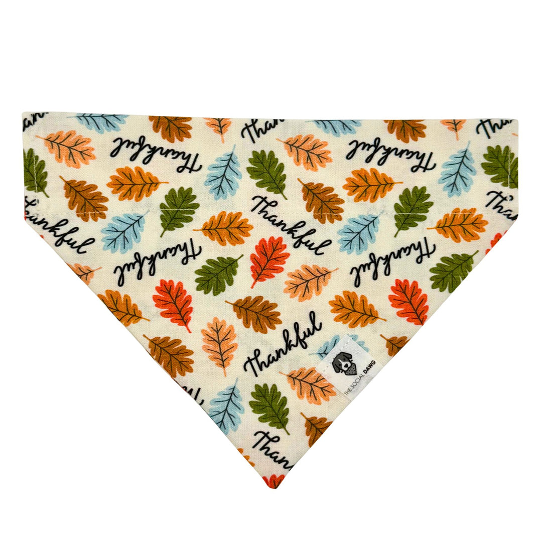 Thankful Slip-On Dog Bandana