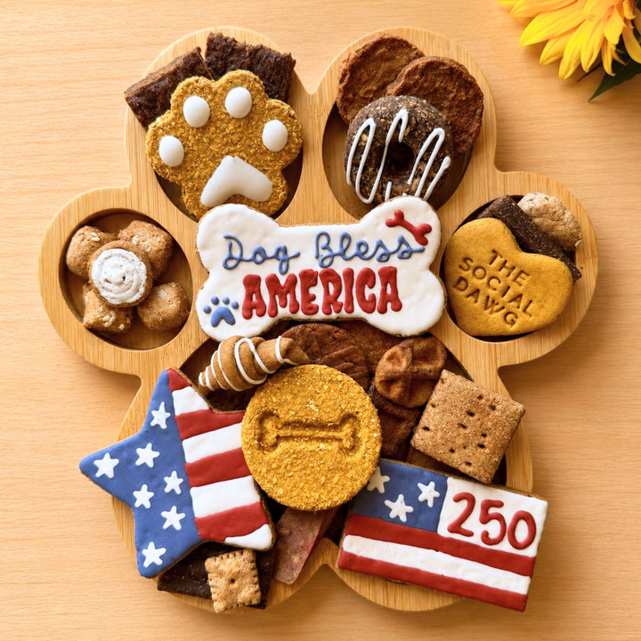 Dog Bless America Patriotic Paw Barkuterie Dog Treat Board
