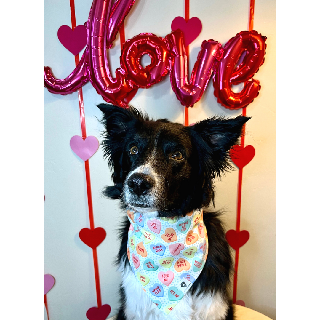 Valentine Canine Candy Hearts Slip-On Dog Bandana