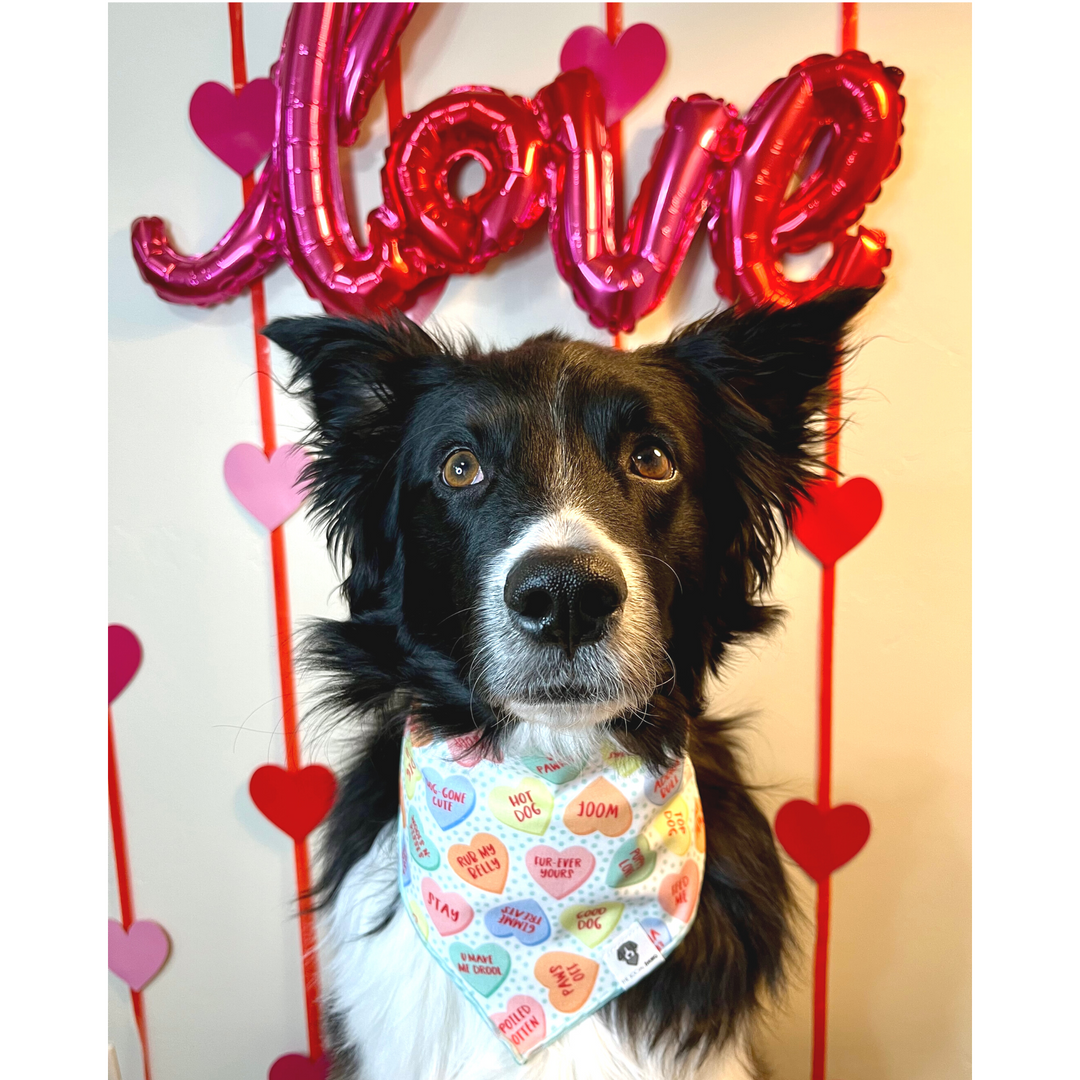 Valentine Canine Candy Hearts Tie-On Dog Bandana