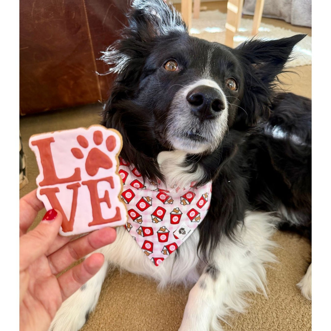 Valentine Love Dog Treats - 2 Pack