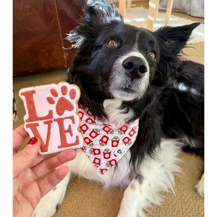 Valentine Love Dog Treats - 2 Pack
