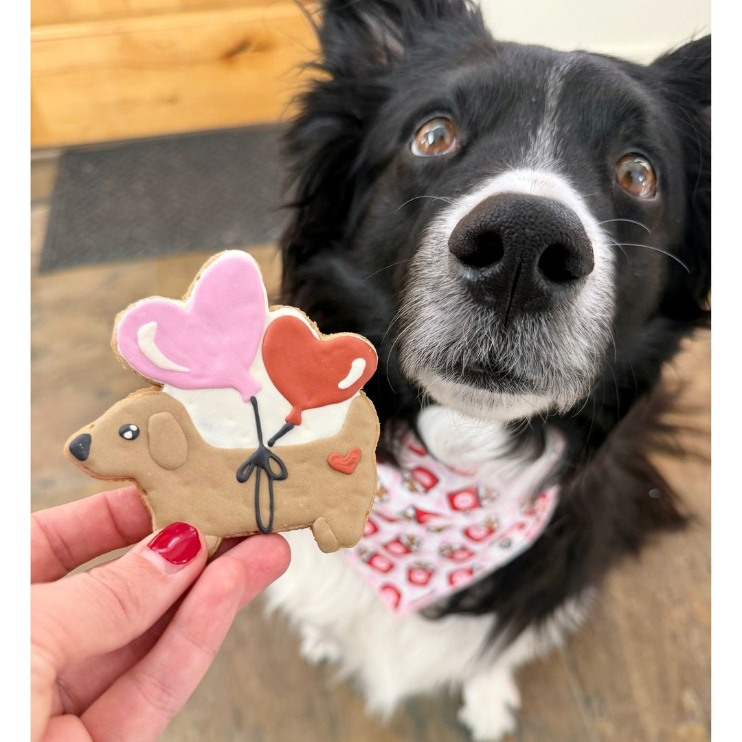 Valentine Love Dog Treats - 2 Pack