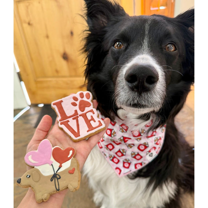 Valentine Love Dog Treats - 2 Pack