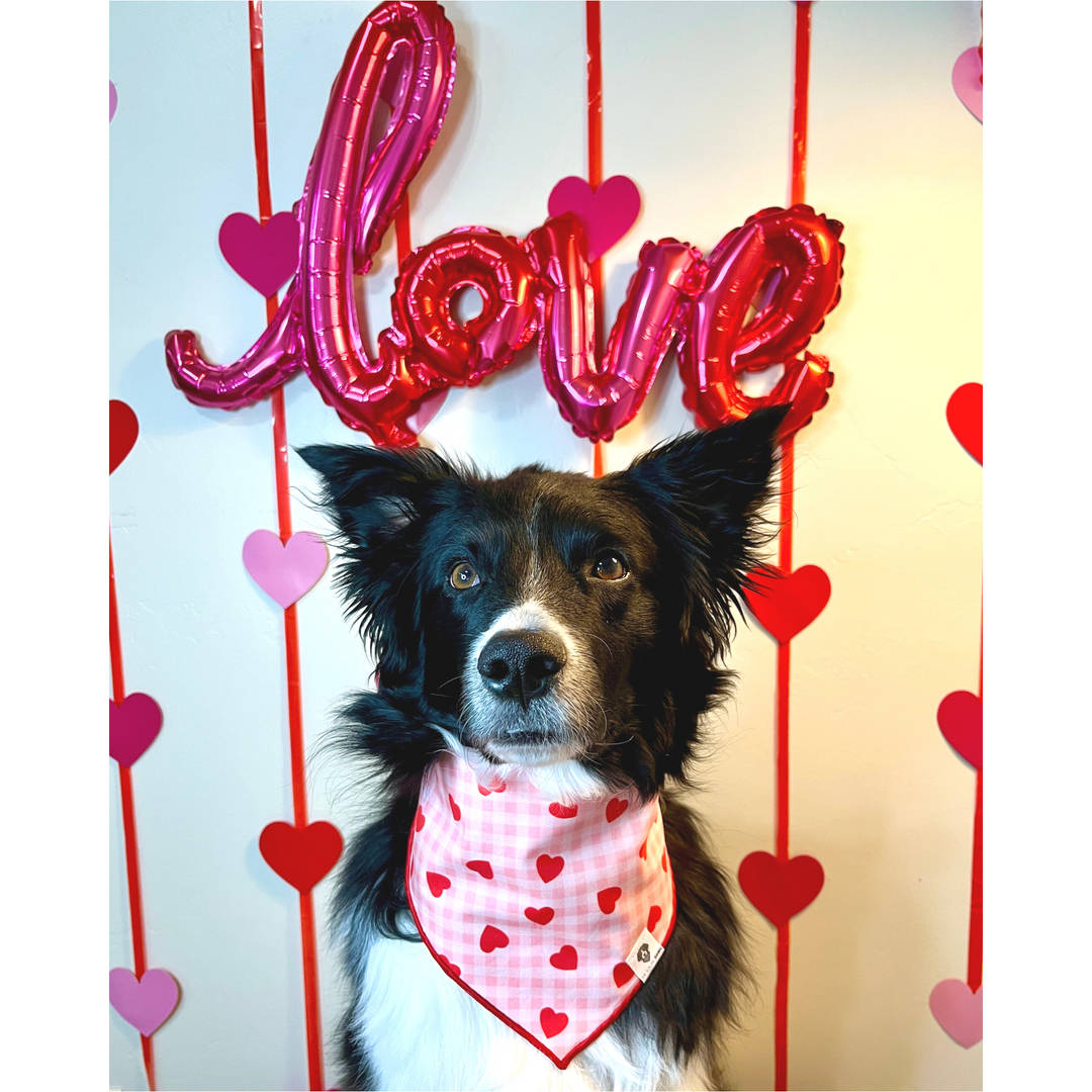 Valentine Gingham Hearts Tie-On Dog Bandana