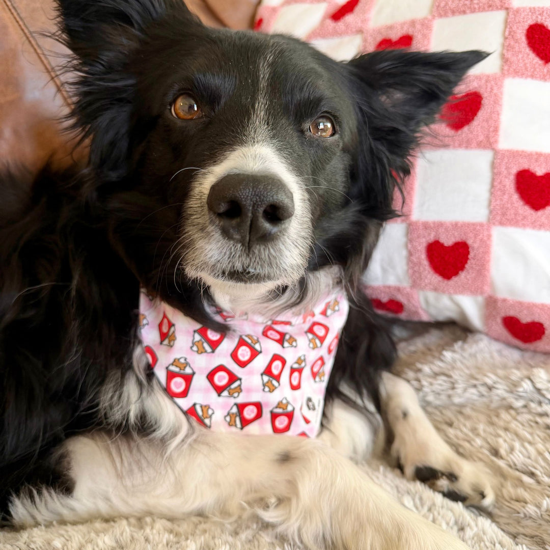 Valentine Pup Cup Slip-On Dog Bandana
