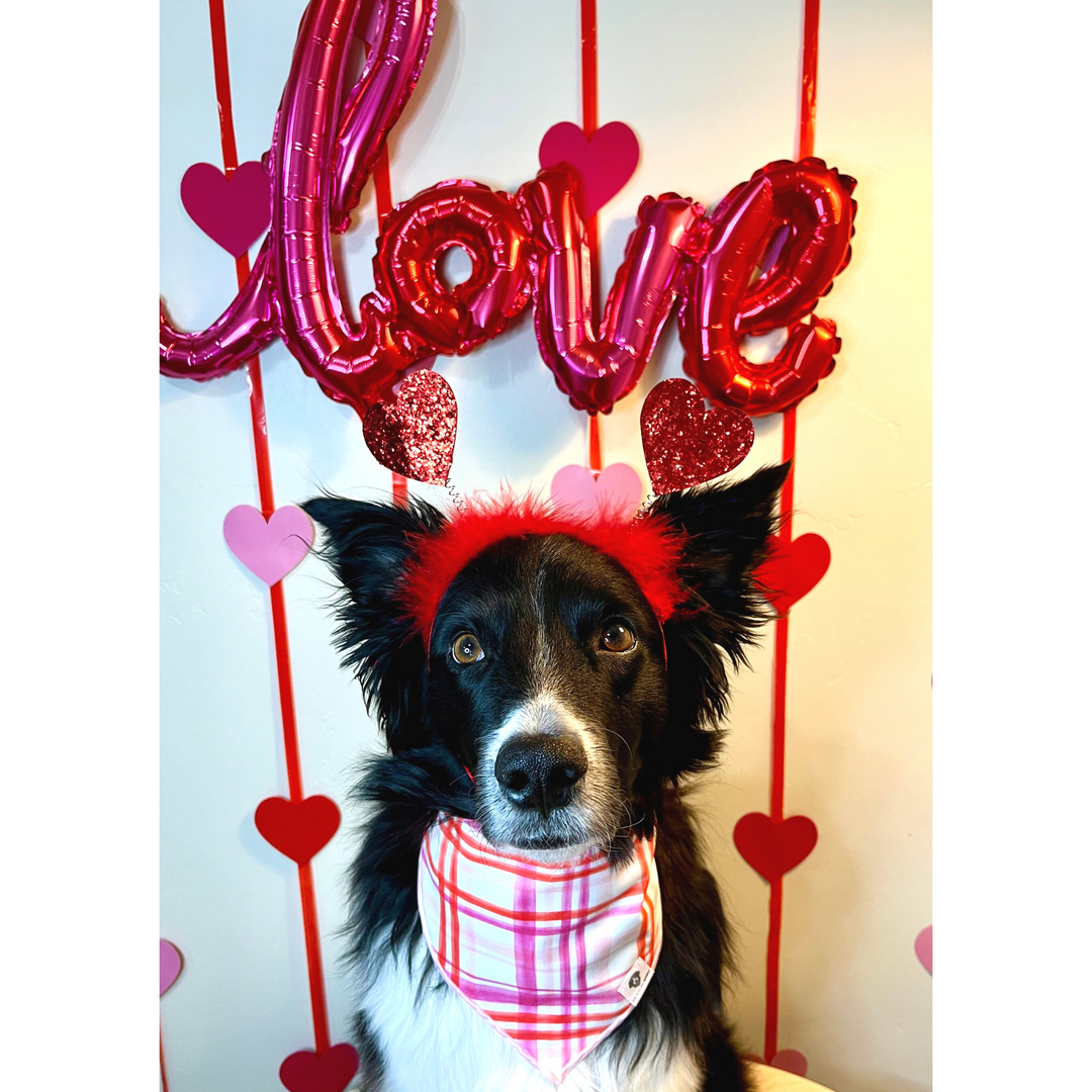 Valentine Watercolor Plaid Tie-On Dog Bandana
