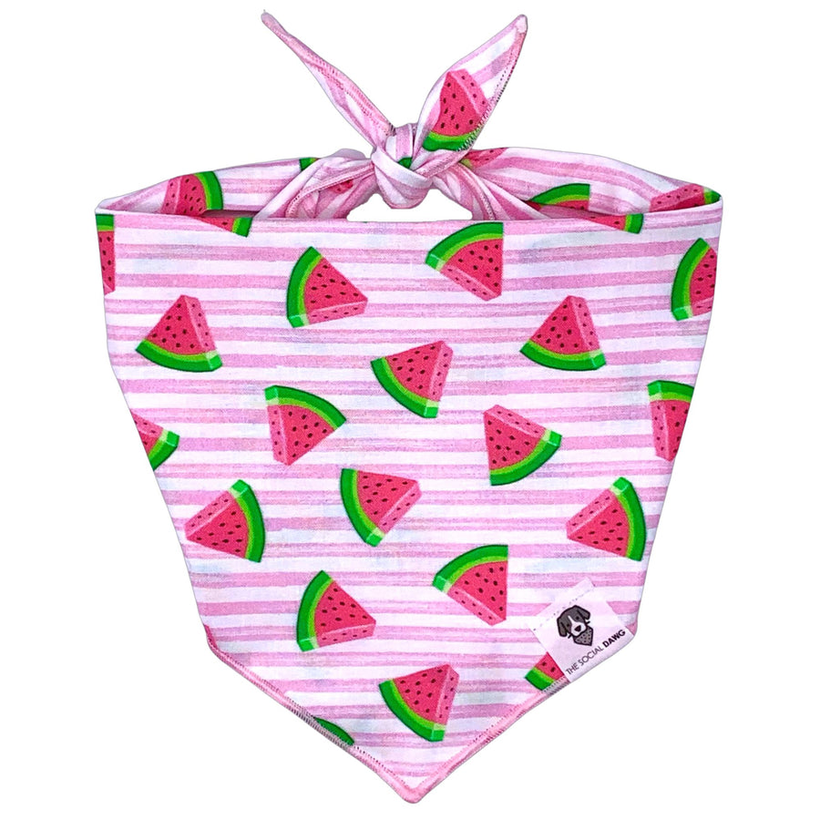 Pink watermelon themed tie-on dog bandana.