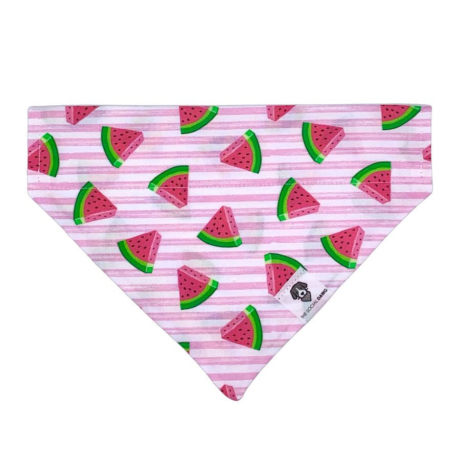 Pink watermelon themed slip-on dog bandana. 